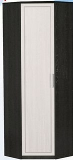 Шкаф для одежды угловой ДЛЯ ГОСТИНОЙ ШОУ-695 Венге/Дуб выбеленный в Ачинске - achinsk.mebel54.com | фото