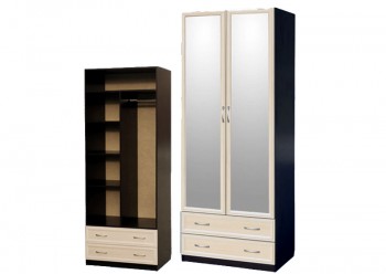 Шкаф для платья и белья 2-х дверный с профилем МДФ с 2 зеркалами Венге/Дуб выбеленный в Ачинске - achinsk.mebel54.com | фото