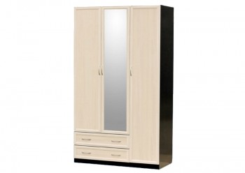 Шкаф для платья и белья 3-х дверный с профилем МДФ с 1 малым зеркалом Венге/Дуб выбеленный в Ачинске - achinsk.mebel54.com | фото