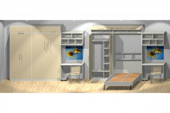Шкаф-кровать детская в Ачинске - achinsk.mebel54.com | фото